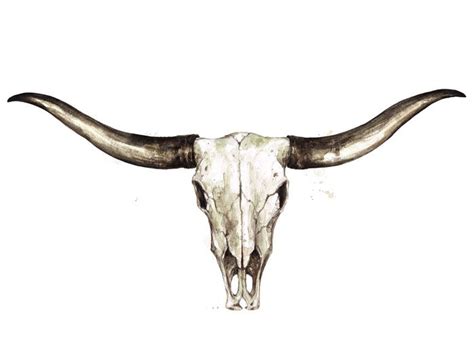 Longhorn Skull Watercolor Illustration Wall Mural, Style Themed Premium ...