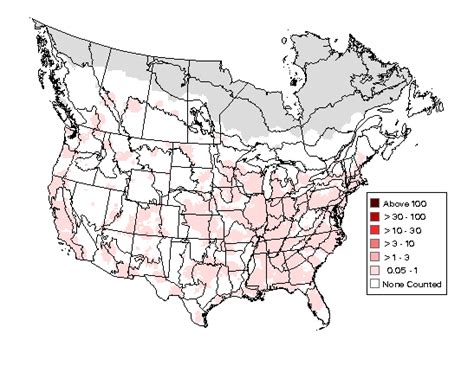 Cooper's Hawk - Breeding Range Map