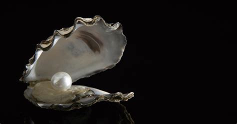 Why Do Oysters Make Pearls?