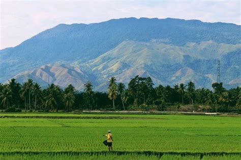 5 Cara Memutus Kutukan Sumber Daya Alam yang Terjadi di Indonesia