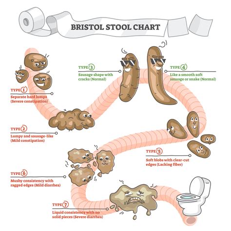 Top 10 bristol stool chart ideas and inspiration