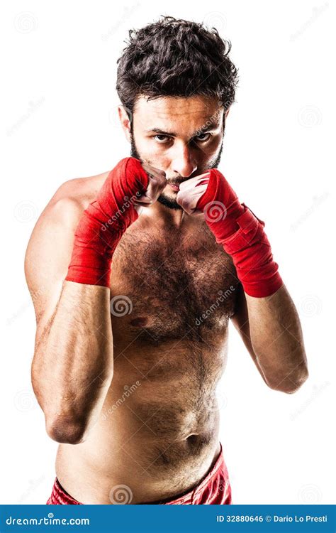 Boxing guard stock photo. Image of prepared, handsome - 32880646