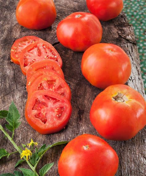 Rutgers Heirloom Tomato features large, red fruit with excellent flavor ...