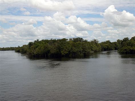 The Rio Negro Brazil | Amazon Fishing