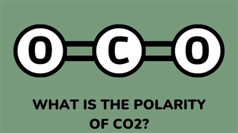 Polarity of CO2: Why Does Non-Polar CO2 Dissolve In Polar H2O? - Gezro