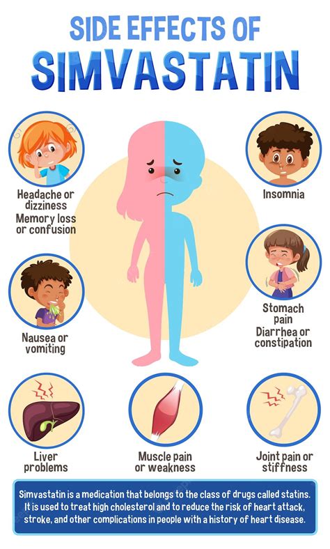 Premium Vector | Human anatomy diagram cartoon style of simvastatin ...