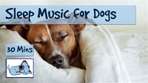 Relaxation Sleep Music for Dogs and Puppies! 30 Minutes of Calming Dog ...