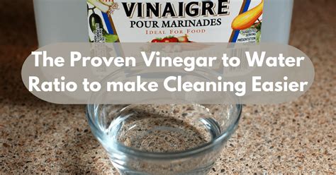 The Proven Vinegar to Water Ratio to make Cleaning Easier. – Carpet and ...