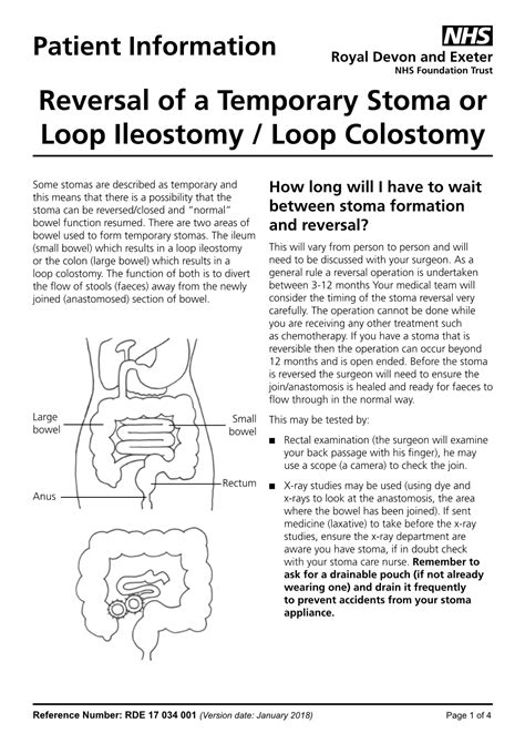 Patient Information Reversal of a Temporary Stoma Or Loop Ileostomy ...