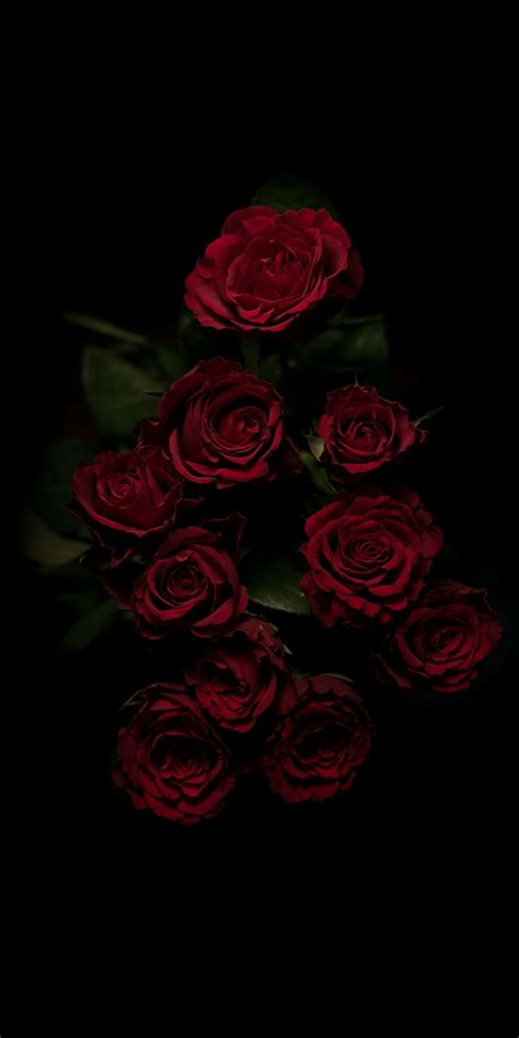 [24+] Goth Aesthetic Wallpaper on WallpaperSafari | Red roses wallpaper ...