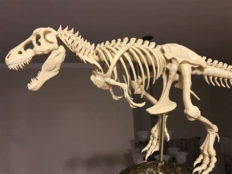 T-Rex Skeleton fixed and printable by icefox1983 - Thingiverse ...