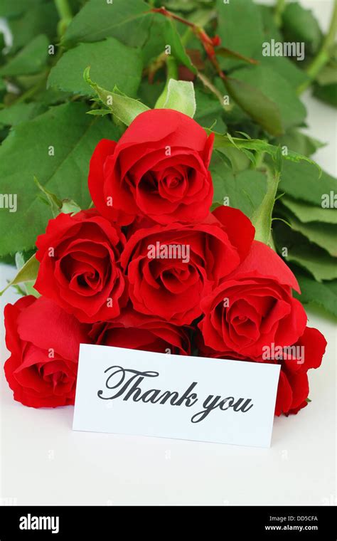 Thank you note and red roses Stock Photo - Alamy