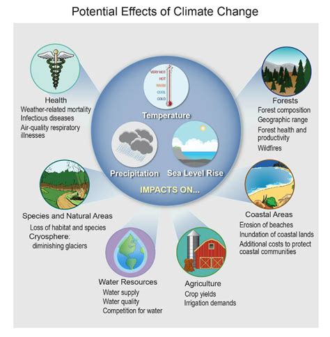 The world is on fire: Climate change is very real