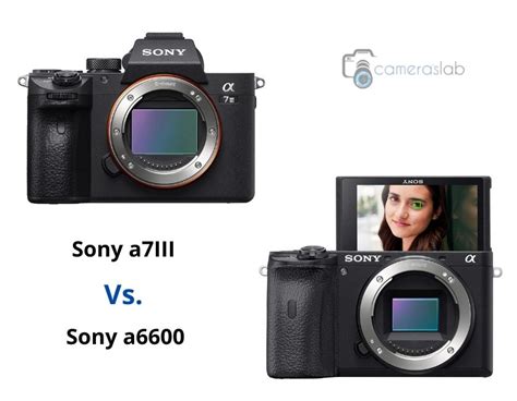 Sony a6600 vs a7III - See Why We Recommend Sony a7III