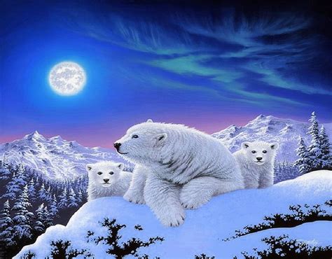 Polar Bears Wallpaper Hd