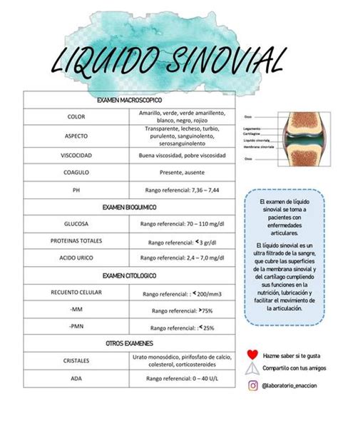 Examen Citoquímico Liquido Sinovial | LABORATORIO EN ACCION | uDocz