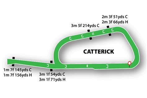 Catterick Bridge Races | Racecourse Guide, Help & Tips