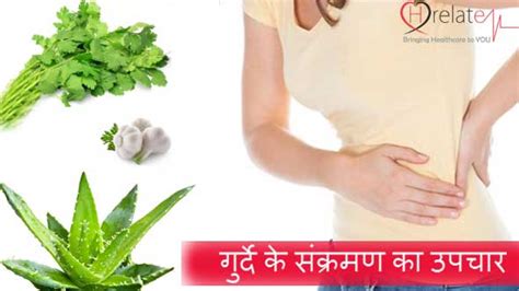 Kidney infection treatment in Hindi: Sankraman Ka Ilaj