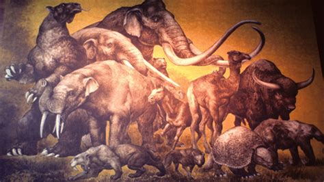 How much did the Pleistocene extinctions hurt nutrient flow?