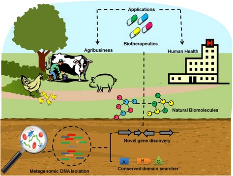 Frontiers | Insights into novel antimicrobial compounds and antibiotic ...