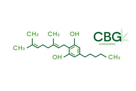 Beyond THC: Look for CBN, CBG and Other “New” Cannabinoids