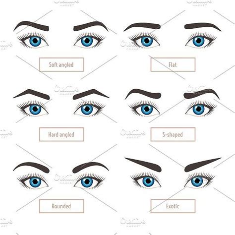 6 basic eyebrow shapes. Captions. | Eyebrow shape, Types of eyebrows ...