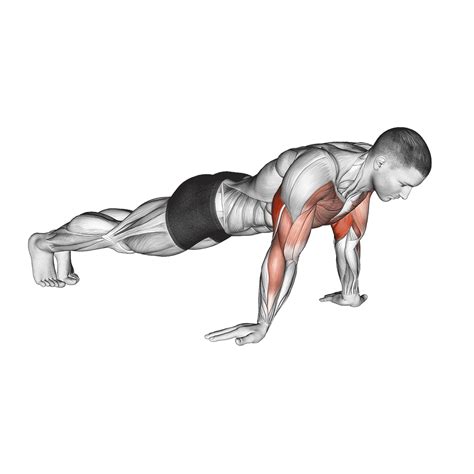 Reverse Grip Push Ups: Muscles Worked and More - Inspire US