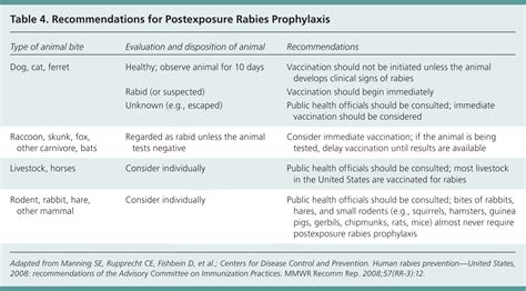 Do Dog Bites Need Antibiotics