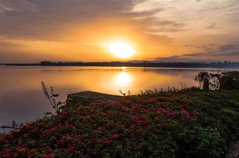 Lake Tana at sunset | Lake tana, Resort spa, Okavango delta safari