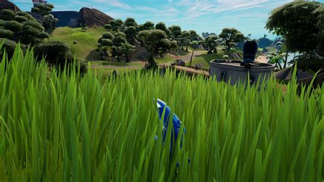 Where is Fortnite tall grass and how to hide in it | GamesRadar+