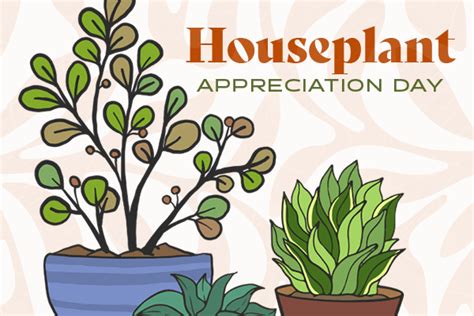 Houseplant Appreciation Day | Alachua County Library District