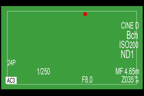 Basic Camera Settings When Shooting on a Green Screen | Bullseye Media LLC