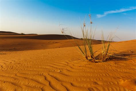 Wallpaper : landscape, nature, sky, field, morning, desert, wind ...