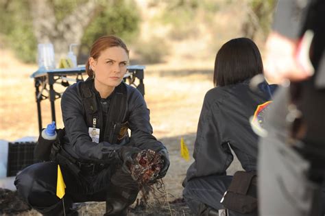 Why Dr. Temperance Brennan From Bones Is an Icon | POPSUGAR Entertainment