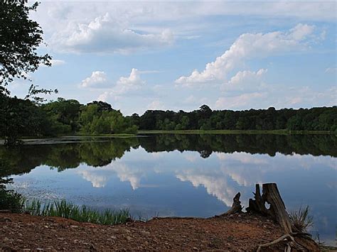 Buescher State Park, a Texas State Park located near Bastrop, Cedar ...