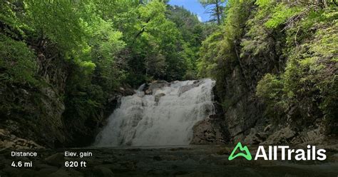 Laurel Falls Trail | Map, Guide - Tennessee | AllTrails