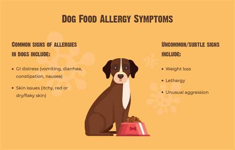 4 Common Dog Food Allergies & Symptoms [+ Infographic]