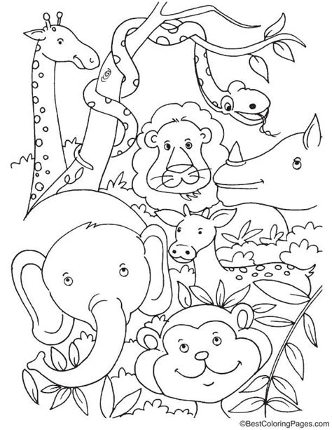 Jungle Animal Coloring Pages For Kids