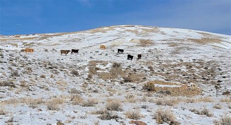 Nevada lithium mine gets $700M conditional loan from Energy | The ...