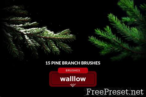 Christmas tree branches photoshop brushes LFM6FVN