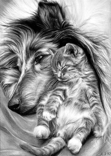 40 Realistic Animal Pencil Drawings