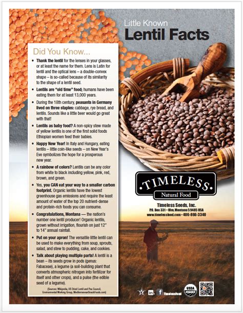 Timeless Natural Food | Lentil Information SheetsLentil Information ...