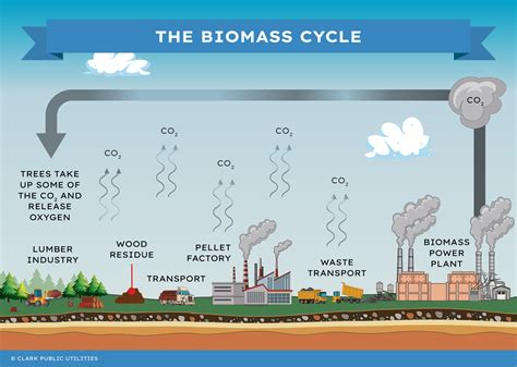 Biomass Energy - How Do We Make Energy From Waste? - Clark Public ...