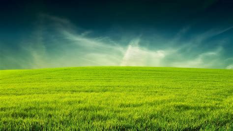 Grass Wallpapers - Wallpaper Cave