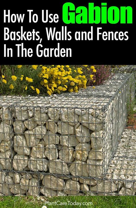 Gabion Wall, Baskets, and Fences How To Use Them In The Garden | Gabion ...