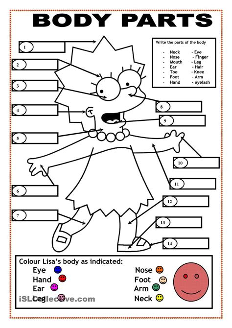 Body Parts Coloring Pages For Kids - Coloring Home