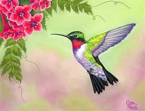 Ruby Throated Hummingbird by Clare Klaum, Pastel, 7 x 9 in 2020 ...