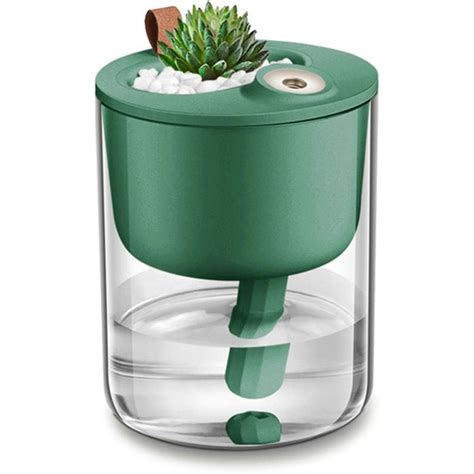 9 Plant Humidifiers and Misters to Enhance Plant Health