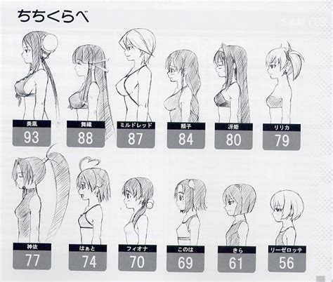 Breasts Size Reference | Deviantart drawings, Manga drawing tutorials ...