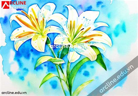 Hướng dẫn vẽ hoa bằng màu nước cực kỳ đơn giản | ArcLine